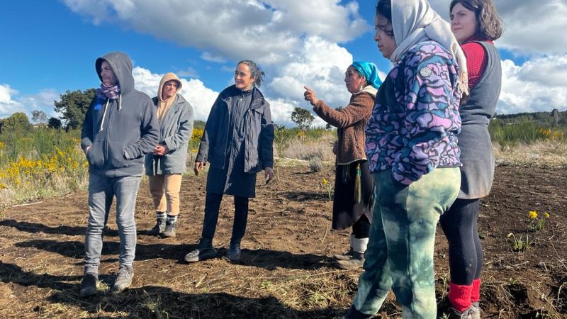 Residencia Avanzada Sur abre convocatoria para jóvenes creadores de Latinoamérica que trabajen en artes vivas
