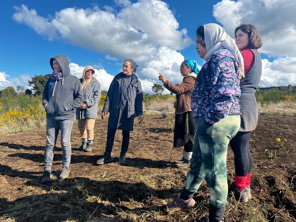 Residencia Avanzada Sur abre convocatoria para jóvenes creadores de Latinoamérica que trabajen en artes vivas