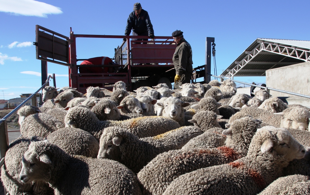 SAG Tierra del Fuego entrega recomendaciones previo fiestas de Fin de Año