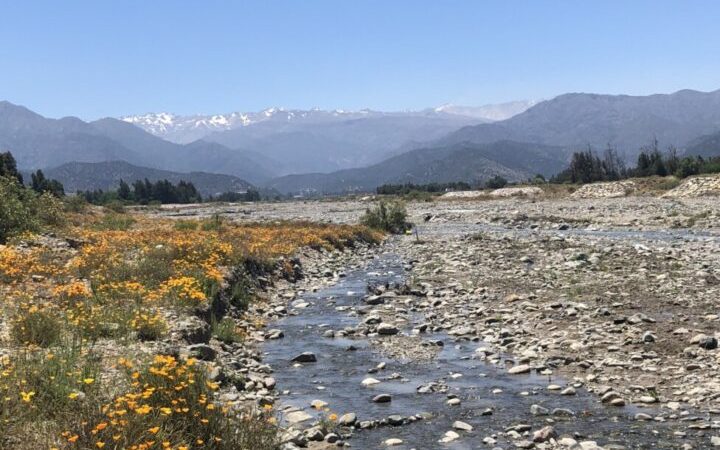 Comunidades chilenas se organizan ante una crisis hídrica agravada por abusos | Orlando Milesi