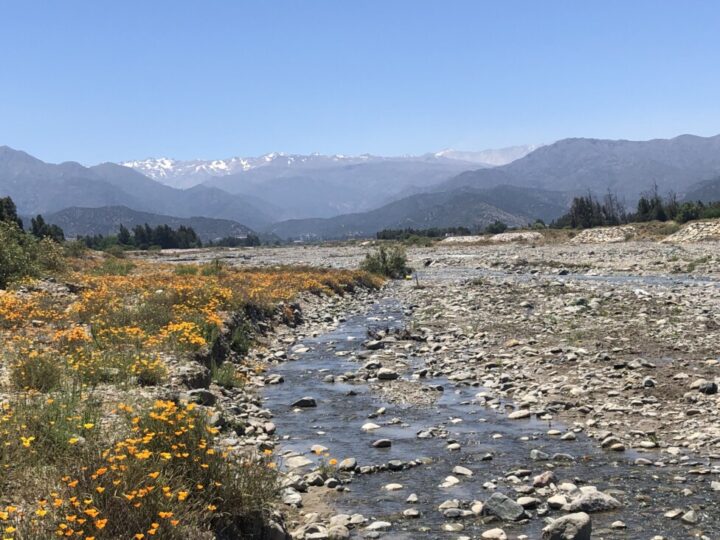 Comunidades chilenas se organizan ante una crisis hídrica agravada por abusos | Orlando Milesi