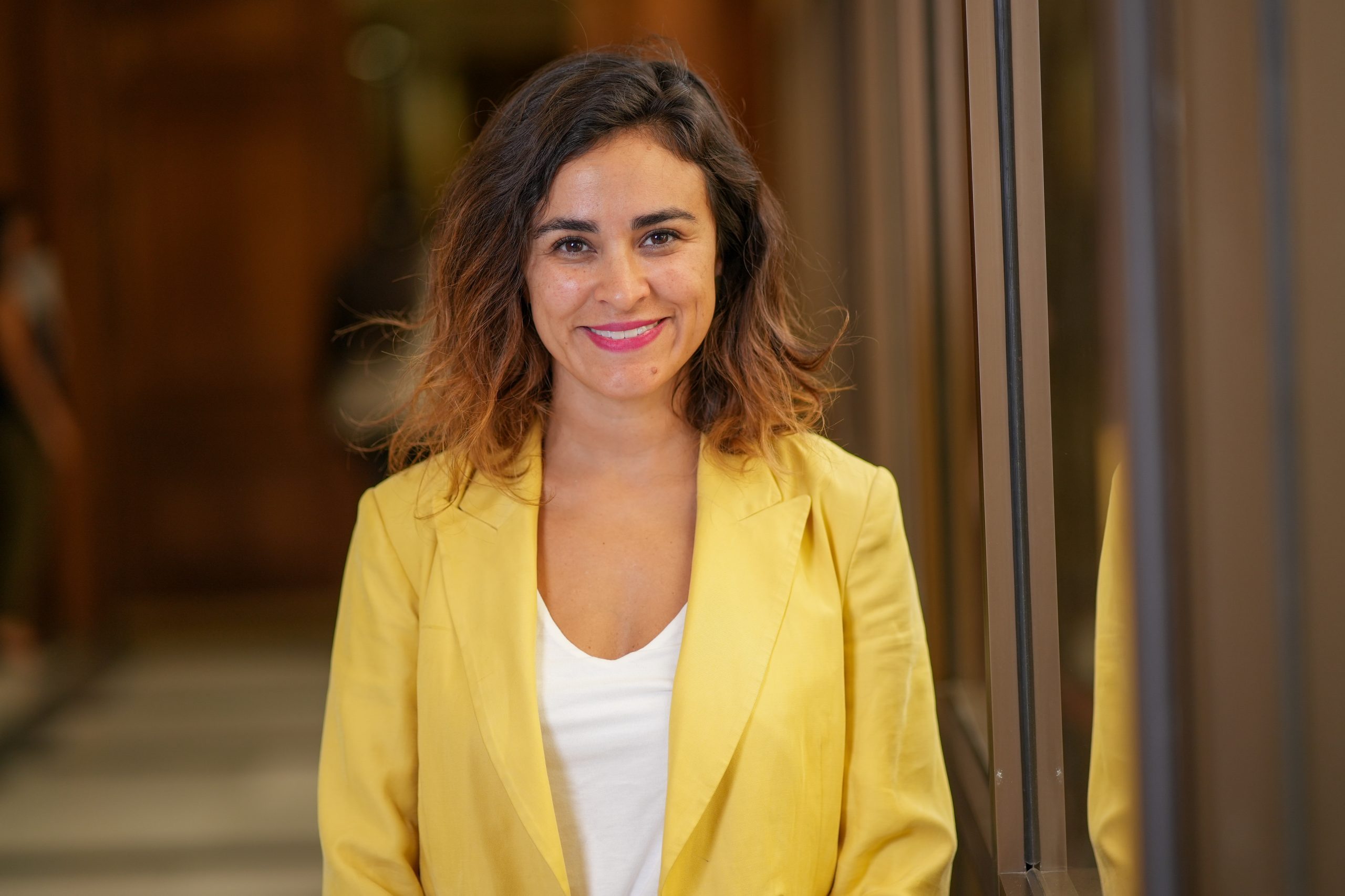 Diputada por Magallanes Javiera Morales, presentó proyecto de probidad municipal