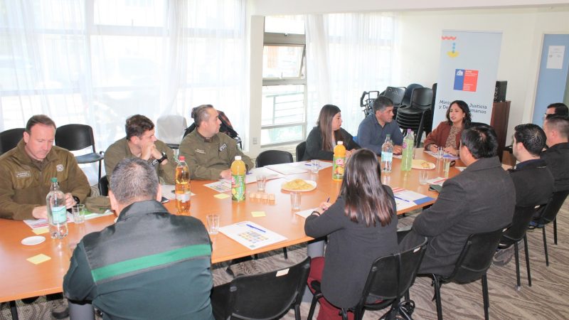 Mesa de coordinación sobre eliminación de antecedentes penales se reunió en Punta Arenas