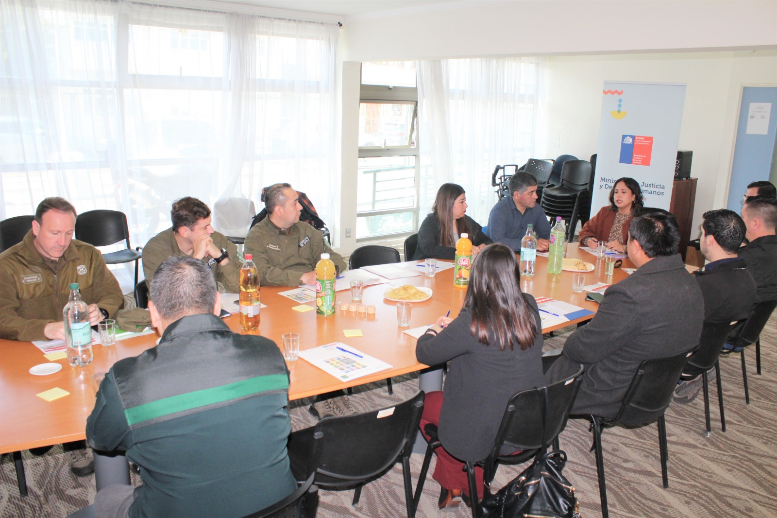 Mesa de coordinación sobre eliminación de antecedentes penales se reunió en Punta Arenas