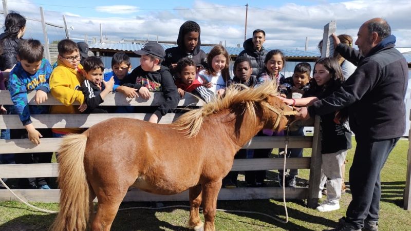 Entretenida iniciativa inclusiva realizaron programas sociales de la Municipalidad de Puerto Natales