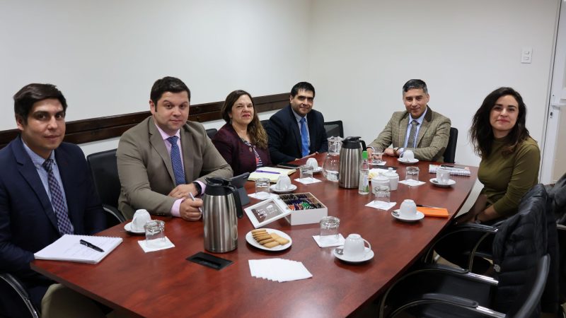 Diputada por Magallanes Javiera Morales: “La administración municipal en Punta Arenas no da para más”