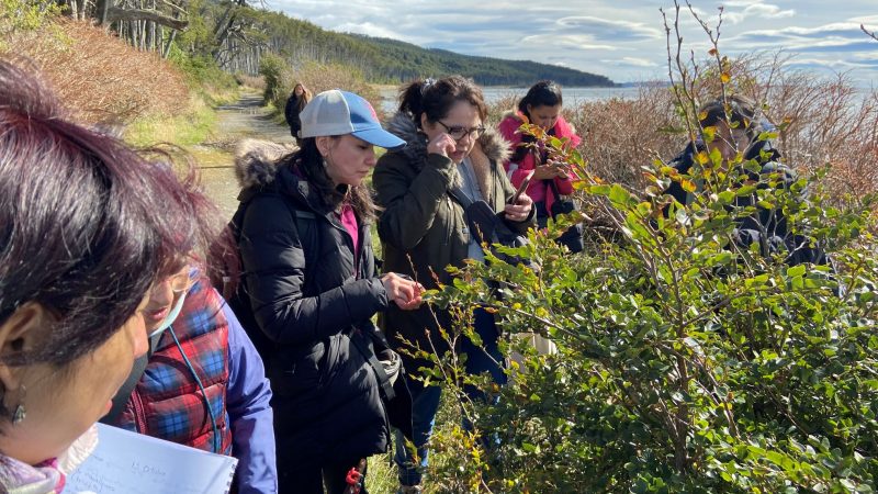 Artesanas y artesanos de Punta Arenas se capacitan para diversificar su oferta y crear nuevos modelos de negocios vinculados a la biodiversidad de las áreas protegidas de la comuna