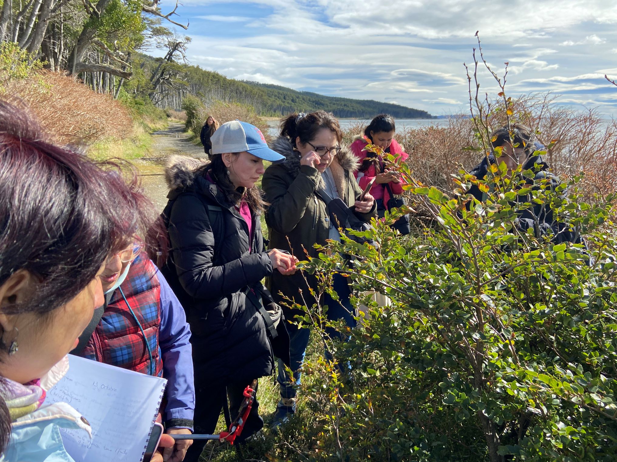 Artesanas y artesanos de Punta Arenas se capacitan para diversificar su oferta y crear nuevos modelos de negocios vinculados a la biodiversidad de las áreas protegidas de la comuna