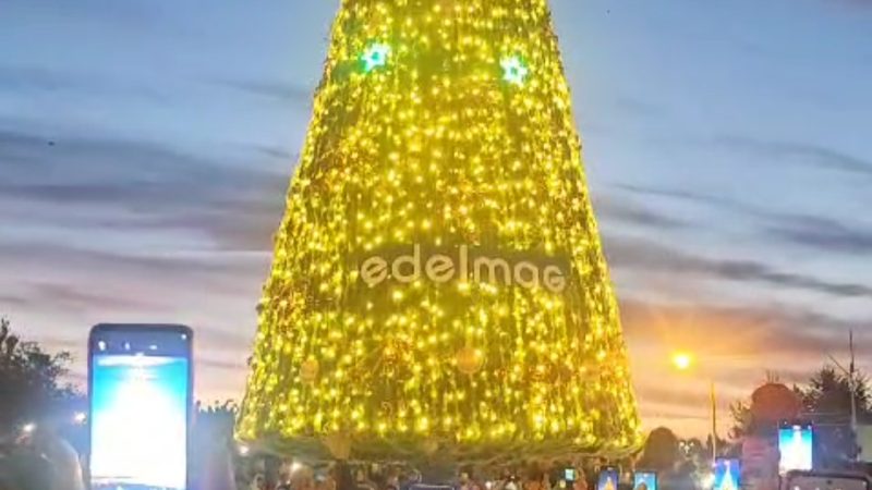 Mas de 5.000 personas presenciaron el encendido del Arbol de Navidad en Punta Arenas
