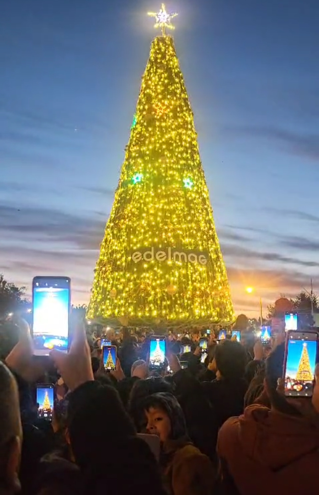 Mas de 5.000 personas presenciaron el encendido del Arbol de Navidad en Punta Arenas