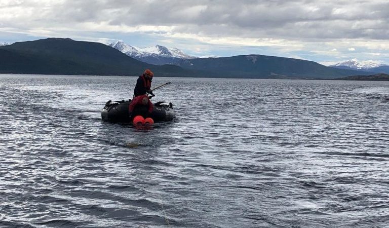 Taller binacional de desenmalle de grandes cetáceos realizó SERNAPESCA y la CBI en Puerto Williams