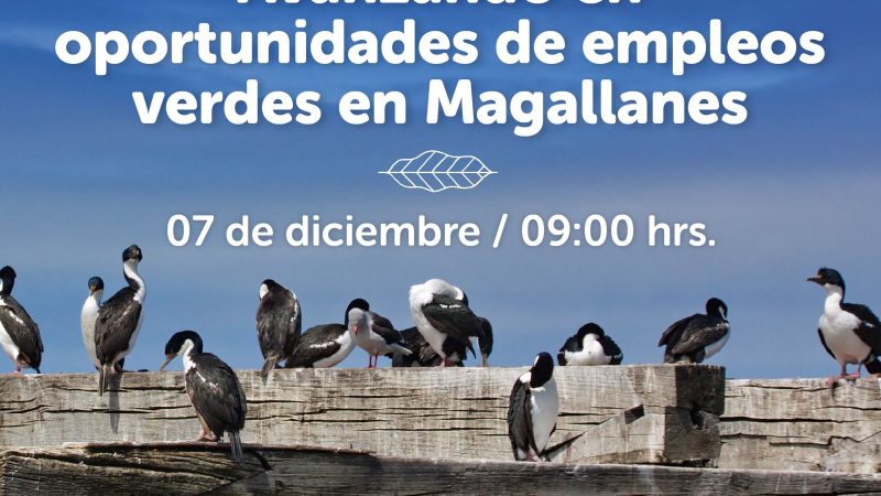Trabajo y Medio Ambiente preparan taller online sobre empleos verdes en Magallanes