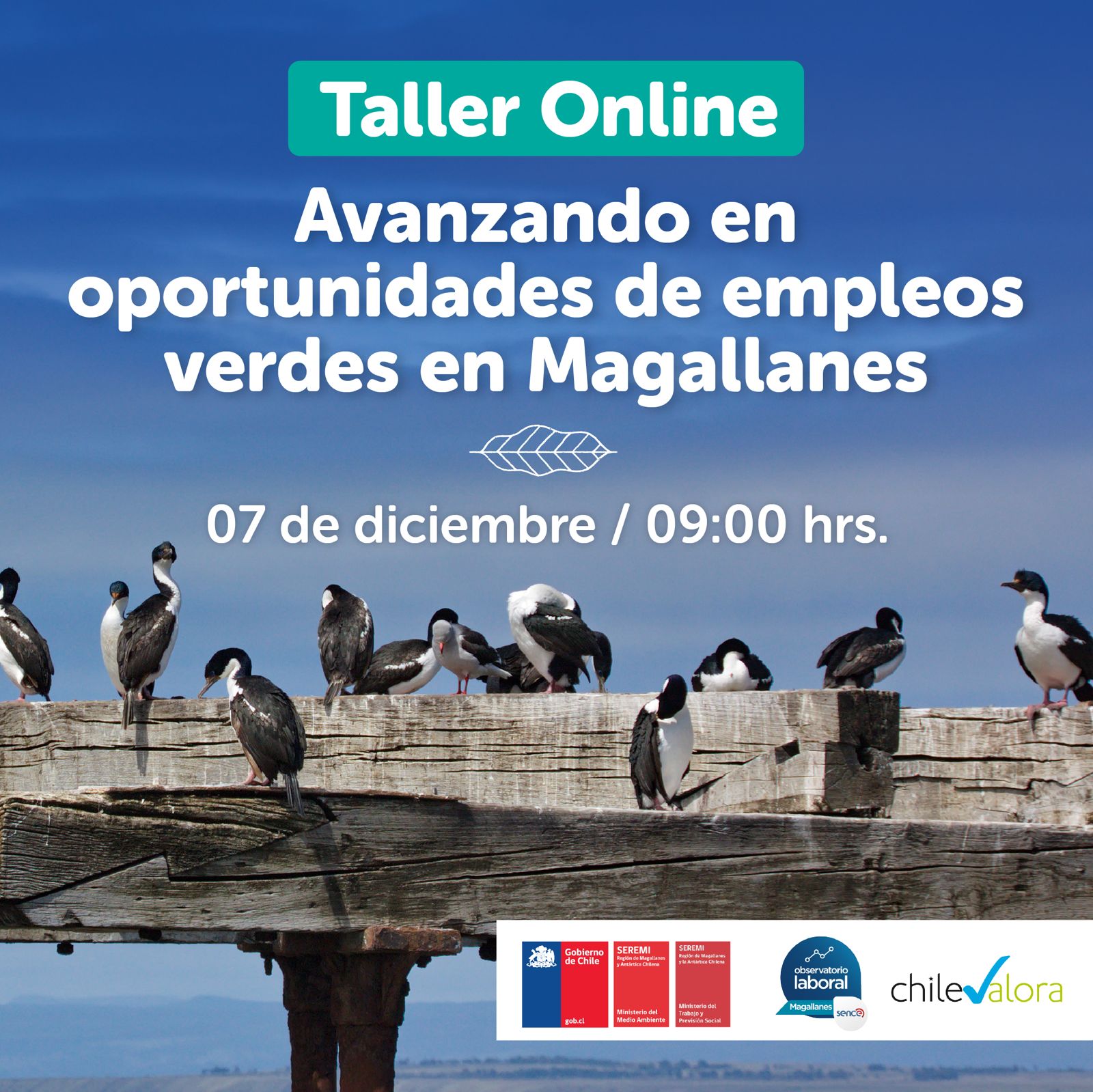 Trabajo y Medio Ambiente preparan taller online sobre empleos verdes en Magallanes
