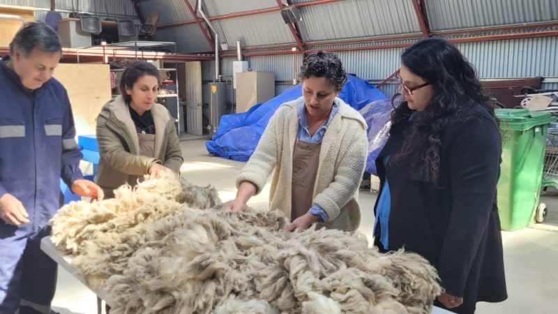 Seremi de Agricultura: “Hilar y Tejer es un oficio que intenta mantenerse en la Patagonia, gracias a la convicción de dos Magallánicas y el apoyo de CORFO”.
