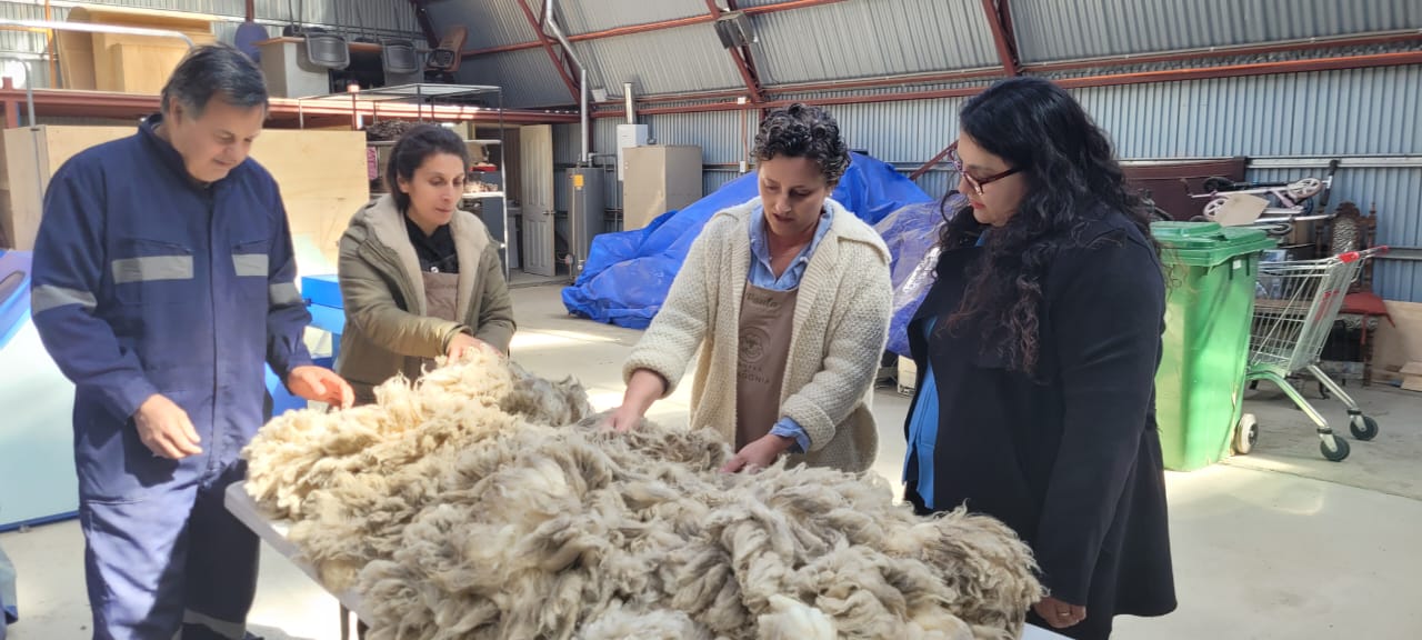 Seremi de Agricultura: “Hilar y Tejer es un oficio que intenta mantenerse en la Patagonia, gracias a la convicción de dos Magallánicas y el apoyo de CORFO”.