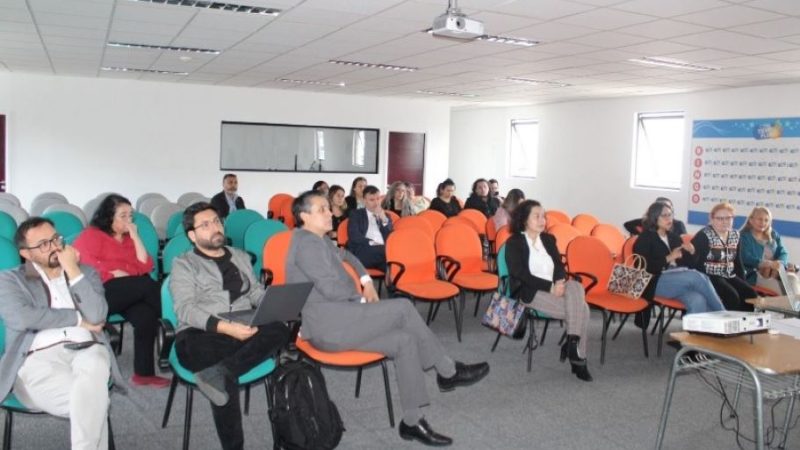 Presidenta de la Corte de Apelaciones de Punta Arenas participó en mesa de trabajo sobre implementación del Sistema Nacional de Reinserción Penal Adolescente