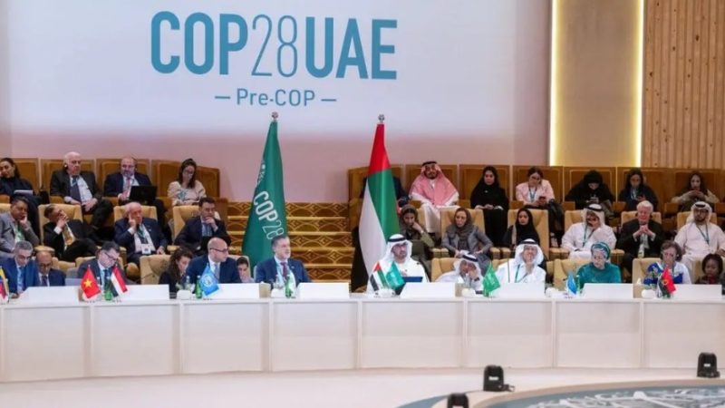 Cop 28: Organizaciones ciudadanas y ambientales de la Patagonia urgen para una protección efectiva de los bosques marinos frente al cambio climático