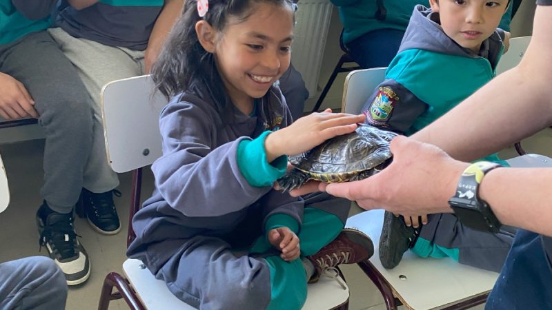 Niños y niñas de Río Verde, Laguna Blanca y Punta Arenas conocieron animales exóticos a través del instrumento Explora tu Ciencia de PAR Explora Magallanes