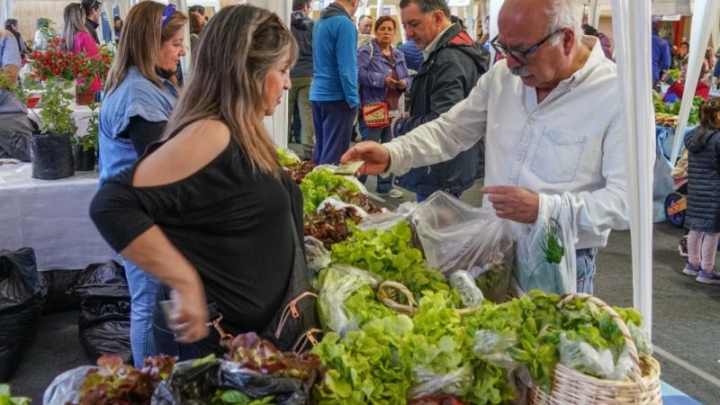 Feria Gourmet de la Municipalidad de Punta Arenas se realiza este sábado en la Escuela Argentina