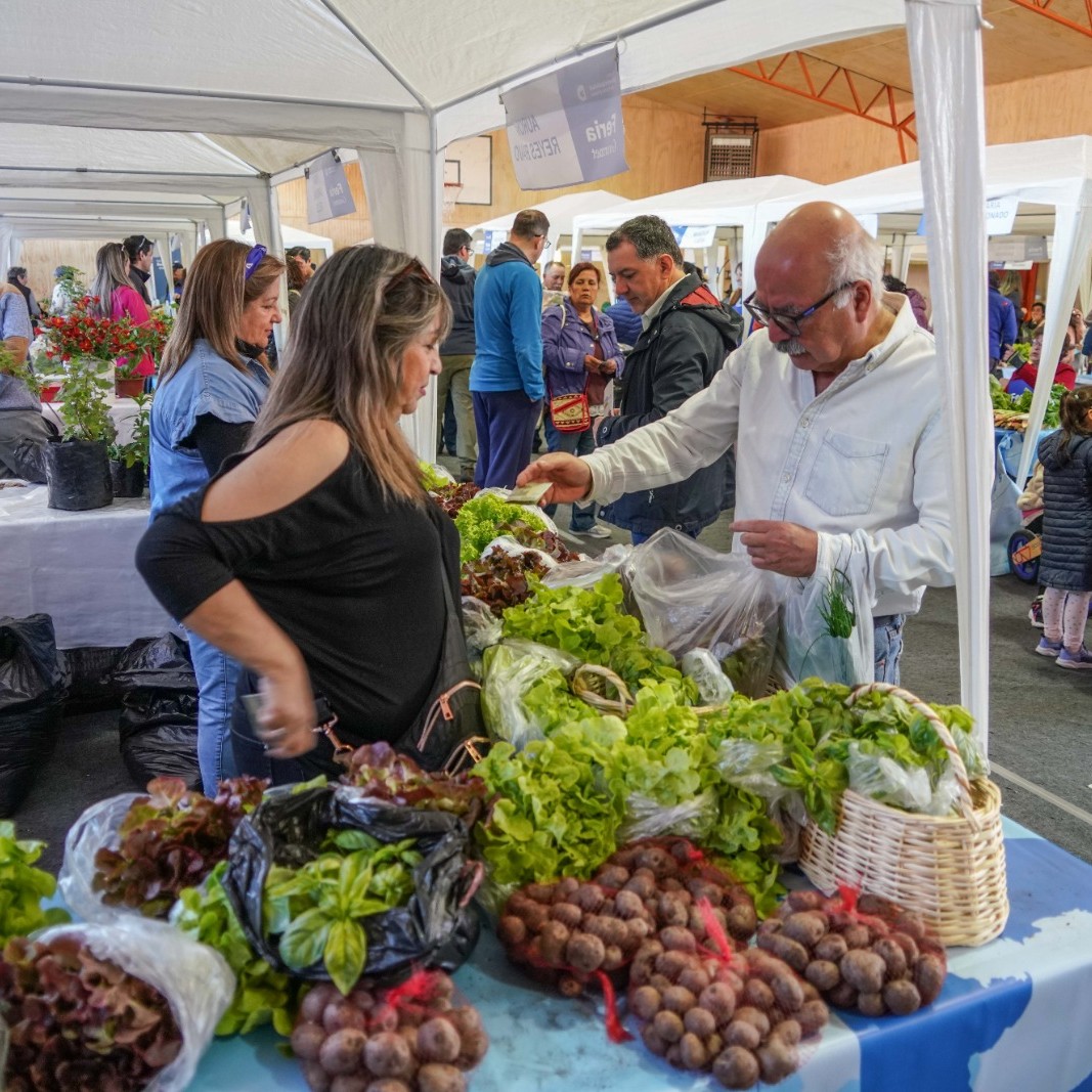 Feria Gourmet de la Municipalidad de Punta Arenas se realiza este sábado en la Escuela Argentina