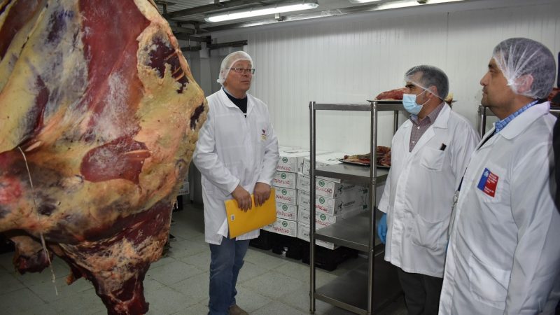SEREMIS de Salud y Agricultura refuerzan fiscalizaciones en carnicerías previo a las fiestas de fin de año