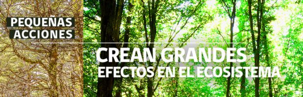 Gobierno activa campaña de prevención de los incendios