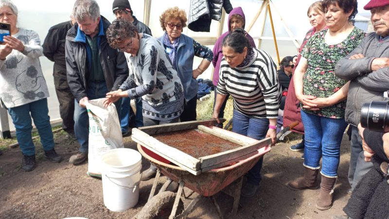 Usuarios de INDAP de Magallanes fortalecieron sus conocimientos sobre agroecología | En taller impartido por profesionales del Huerto Cuatro Estaciones de la región de Aysén