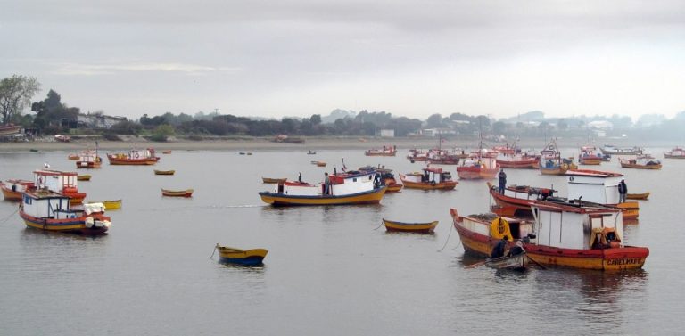 Organizaciones de la Pesca Artesanal se muestran optimistas ante proyecto de nueva Ley de Pesca