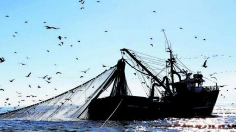 ANEF y Asociación del Servicio Nacional de Pesca y Acuicultura (AFUS-Sernapesca) valoran nuevo proyecto de Ley de Pesca y Acuicultura