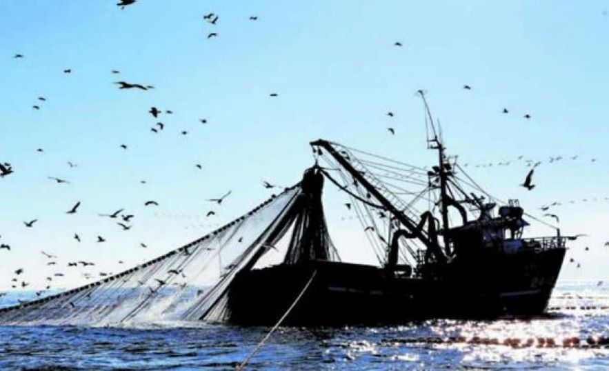 ANEF y Asociación del Servicio Nacional de Pesca y Acuicultura (AFUS-Sernapesca) valoran nuevo proyecto de Ley de Pesca y Acuicultura
