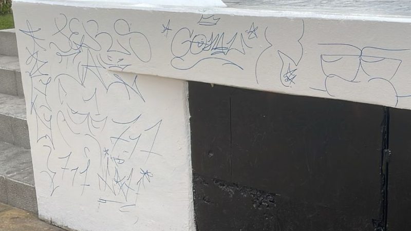 Tenemos un serio problema de educación cívica en Punta Arenas