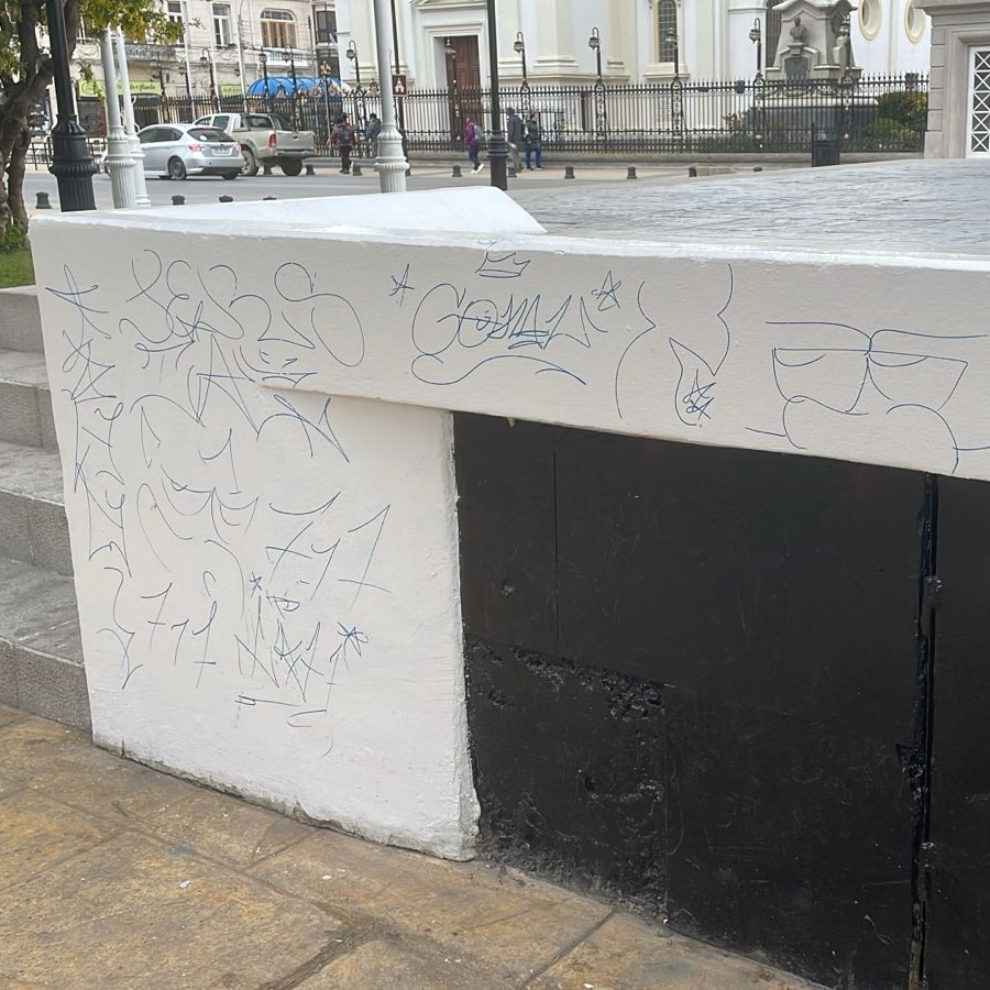 Tenemos un serio problema de educación cívica en Punta Arenas