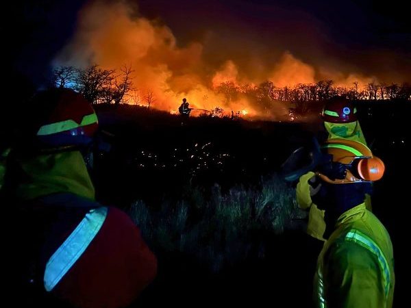 CONAF estrenó su brigada nocturna durante incendio en Cabo Negro