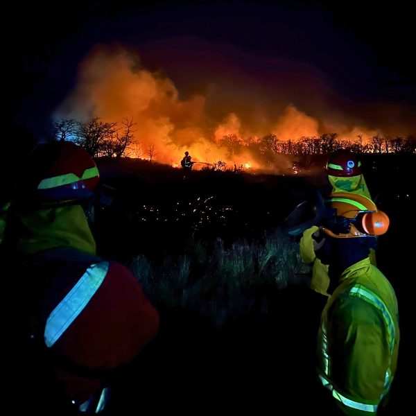 CONAF estrenó su brigada nocturna durante incendio en Cabo Negro