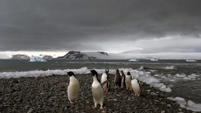 La Antártica, laboratorio del cambio climático en el planeta