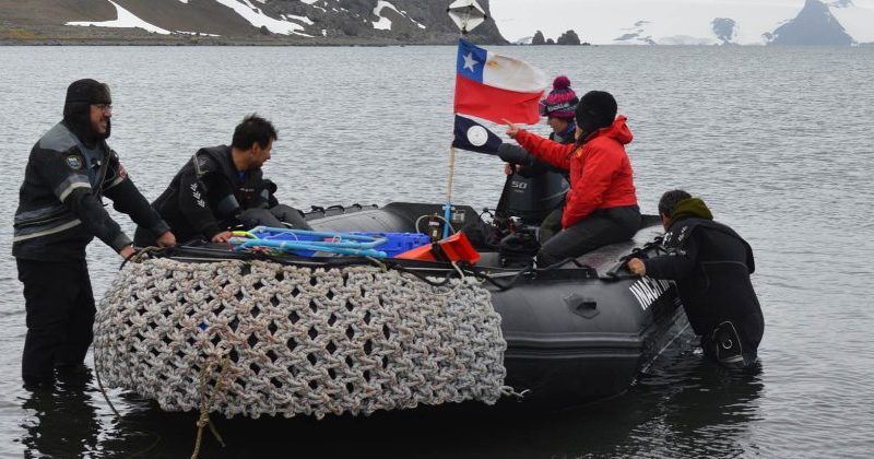 Centro IDEAL de Magallanes realiza nuevas investigaciones en la Antártica
