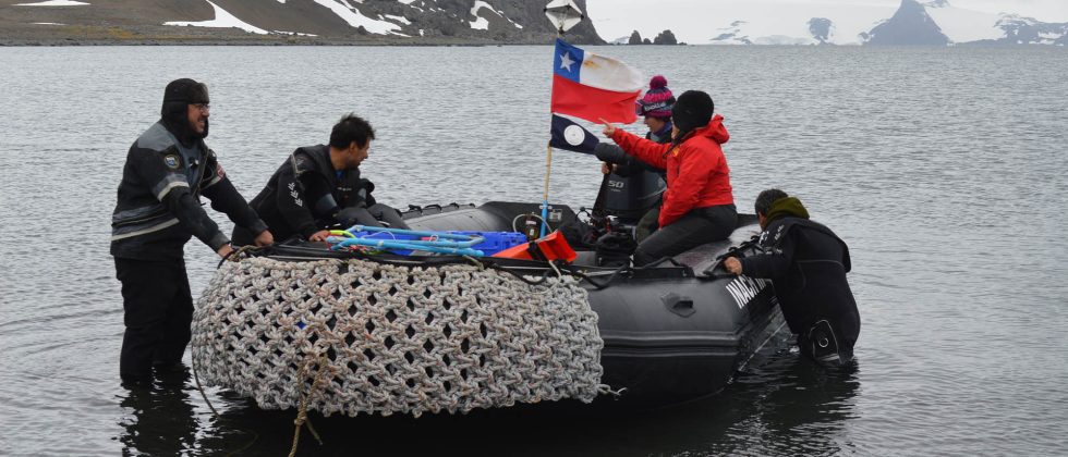 Centro IDEAL de Magallanes realiza nuevas investigaciones en la Antártica