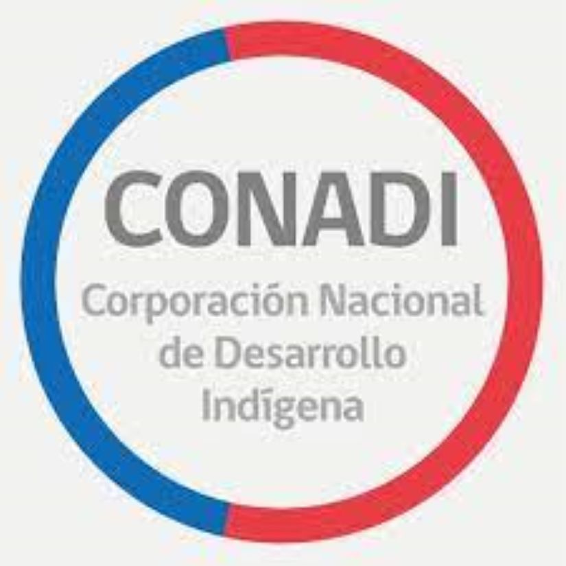 Programa Hogares Indígenas abre postulaciones como beca CONADI/Junaeb