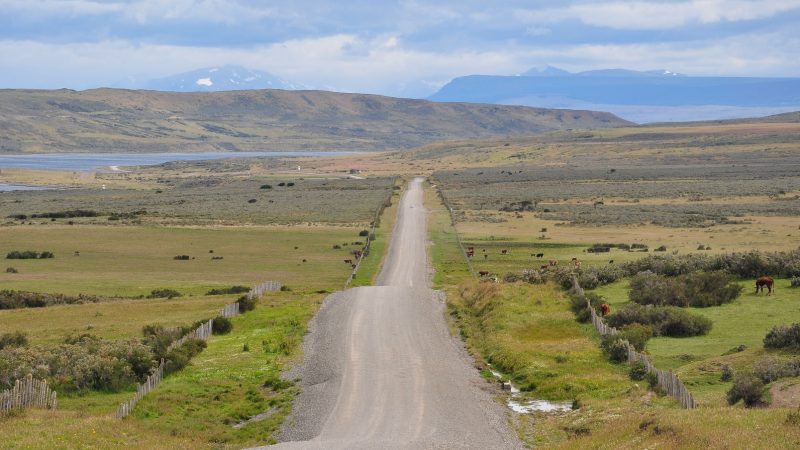 Nublados parciales y vientos entre 40 a 50 km/h. se pronostican en Magallanes