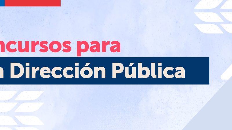 Servicio Nacional de Capacitación y Empleo, SENCE Magallanes, abre concurso de Alta Dirección Pública para proveer cargo de Director (a) regional