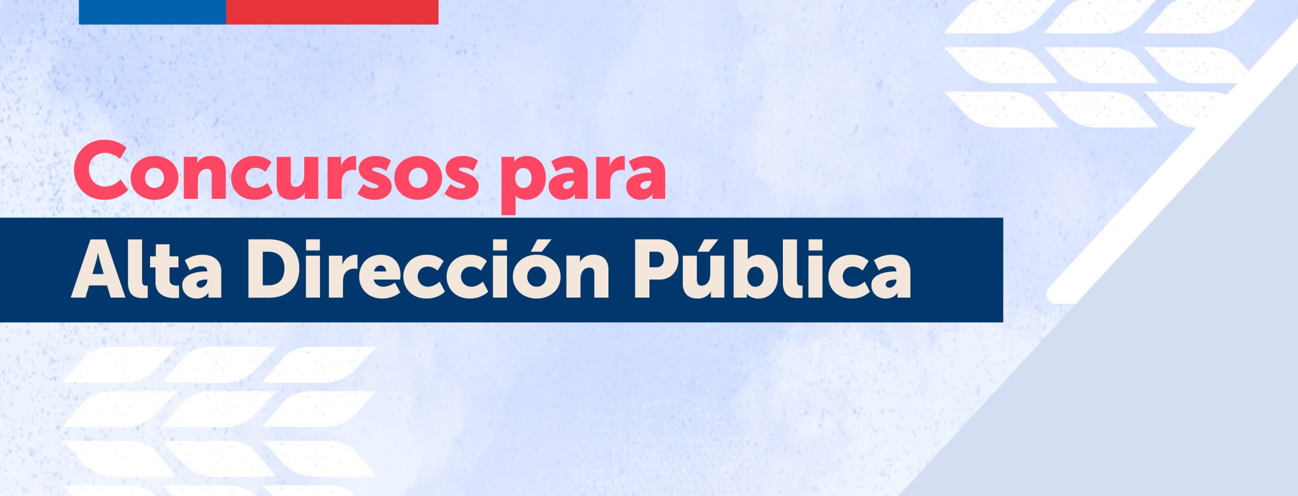 Servicio Nacional de Capacitación y Empleo, SENCE Magallanes, abre concurso de Alta Dirección Pública para proveer cargo de Director (a) regional