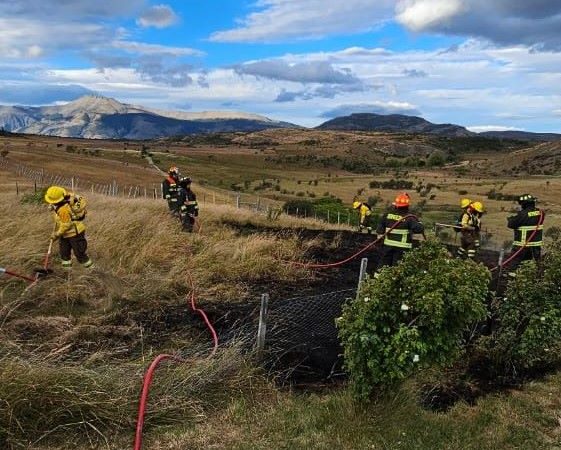 Tres alertas de incendios en Tierra del Fuego y Última Esperanza obligaron a amplio operativo de combate de CONAF y Bomberos