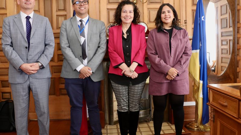 Presidenta de la Corte de Punta Arenas se interioriza sobre refuerzo de programa de representación jurídica de niños, niñas y adolescentes