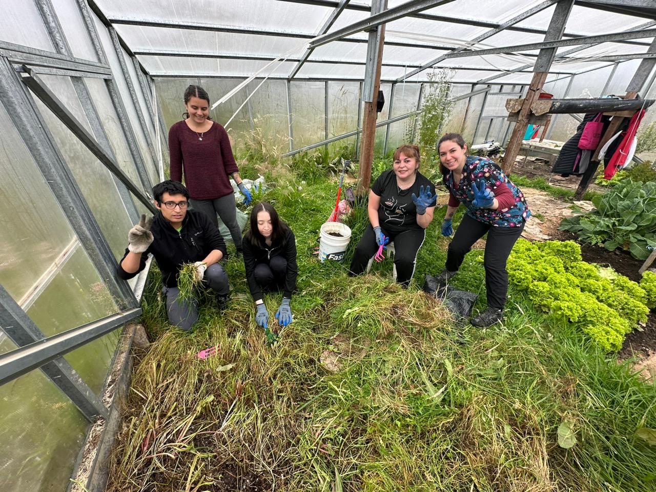 Pacientes pertenecientes a Hospital de Día del recinto asistencial natalino participaron de terapia hortícola 