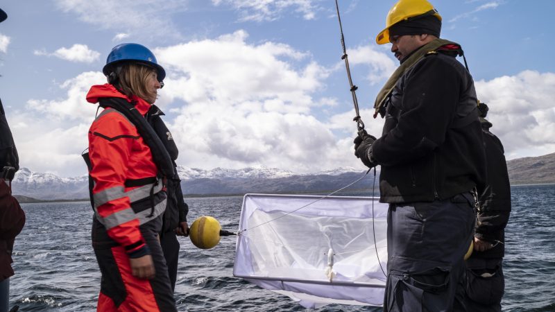 Estudio revela que el 60% del microplástico hallado en los fiordos de la Patagonia corresponde a poliéster