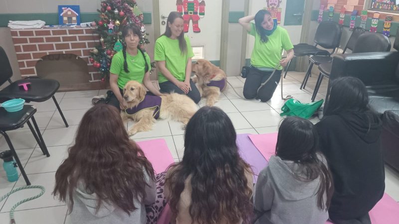 Canes entrenados participan en terapias junto a menores del CR Unidad Hospitalaria de Cuidados Intensivos de Psiquiatría del HCM