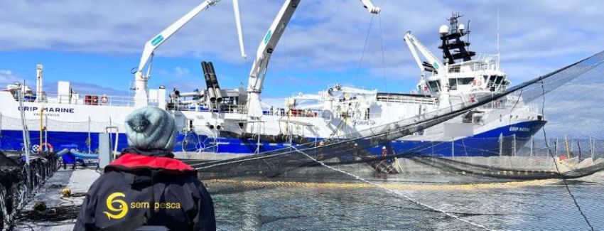 Sernapesca informó sobre nuevo evento de mortalidad masiva de salmónidos esta vez en la región de Aysén