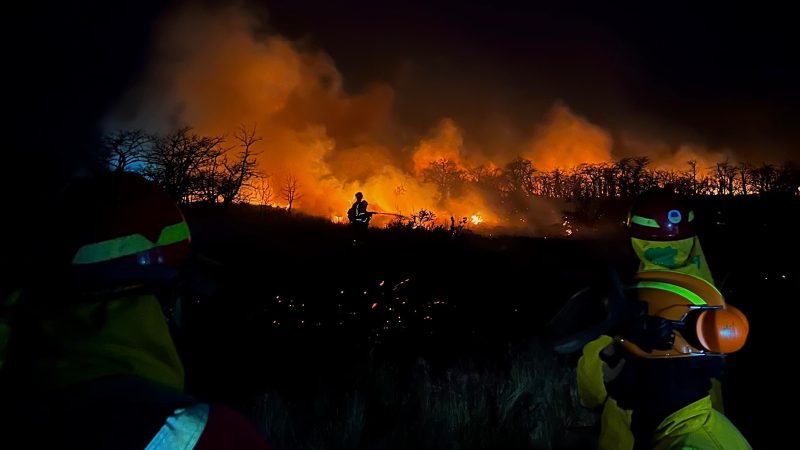 CONAF estrenó su brigada nocturna durante incendio en Cabo Negro