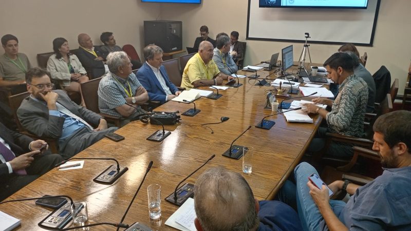 Comisión de Pesca de la Cámara de Diputados se reunió con representantes de la pesca artesanal sobre proyecto de nueva Ley de Pesca