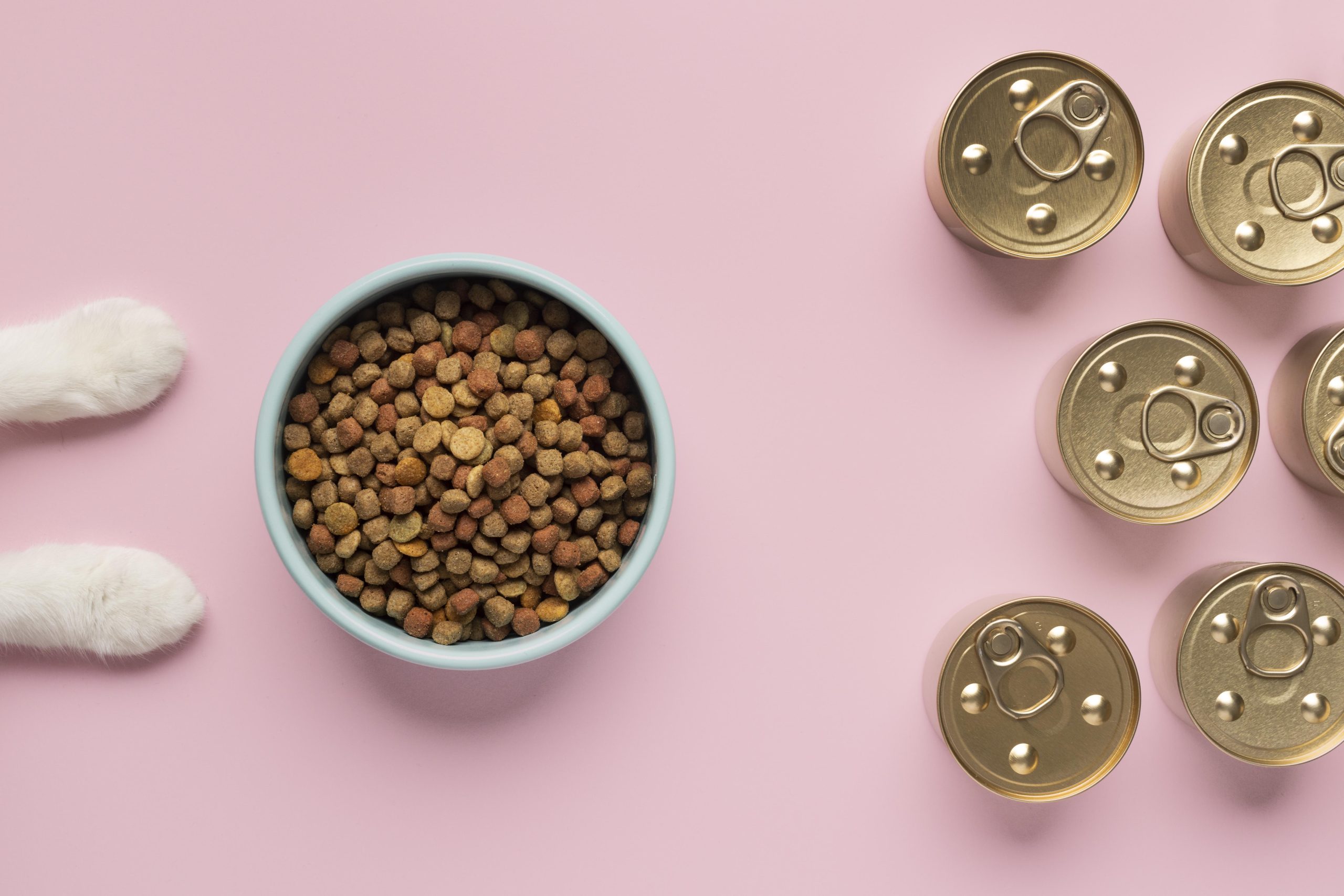 Mix-Feeding para mascotas: Una dieta alternativa recomendada para el verano